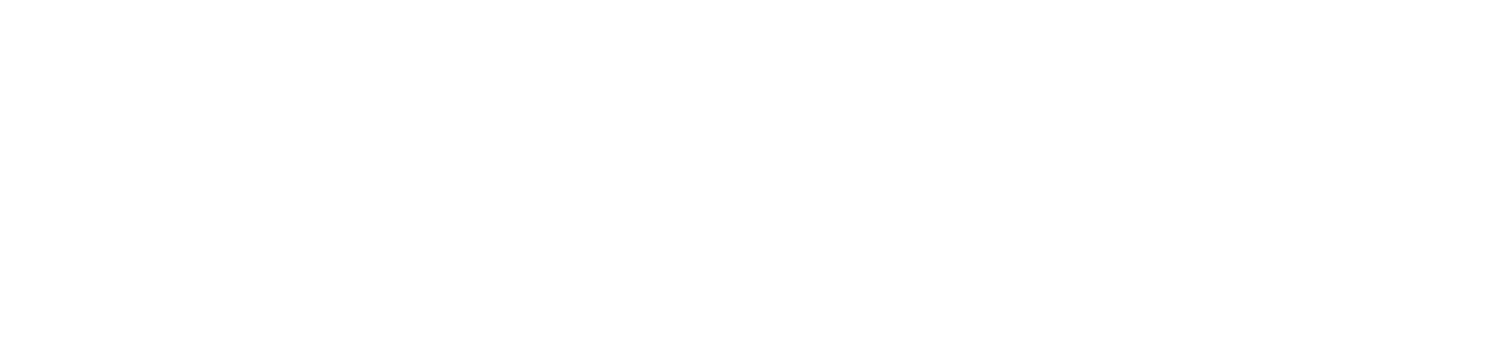The Govt.nz logo